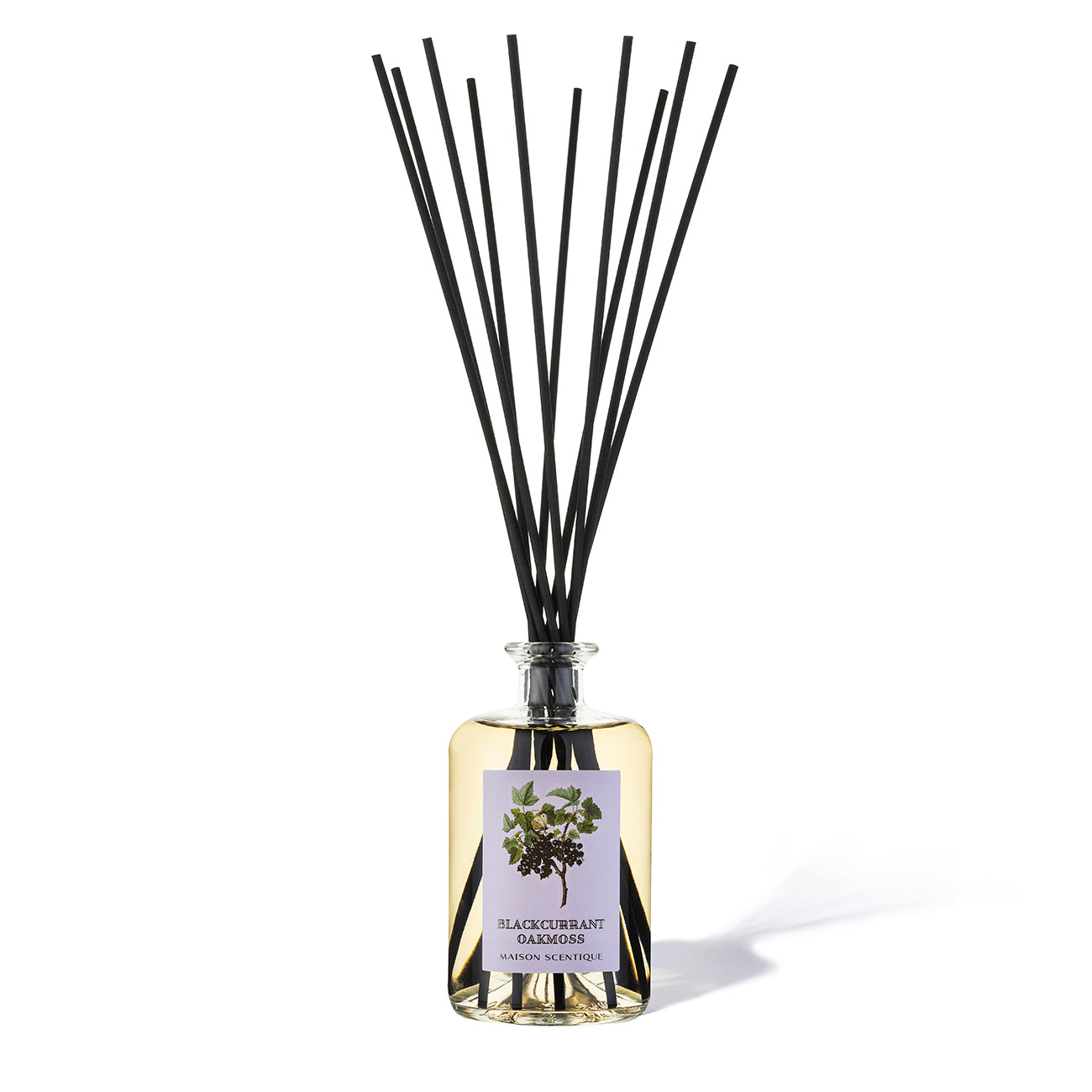 Blackcurrant Oakmoss reed diffuser 500ml luxury home fragrance by Maison Scentique