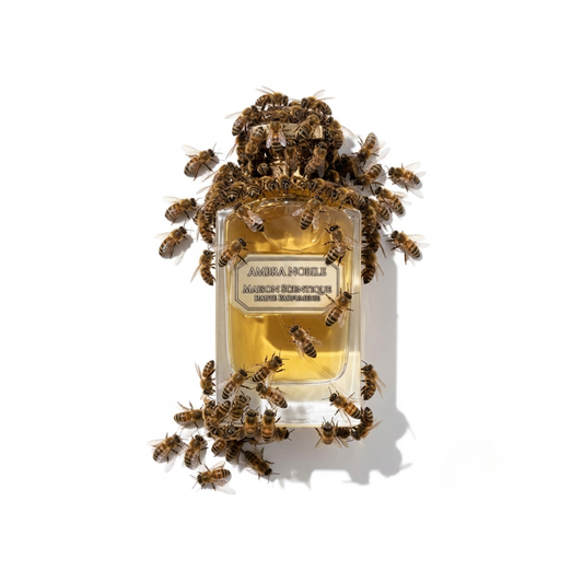 Ambery, resinous, tobacco, sweet niche perfume by Maison Scentique. 