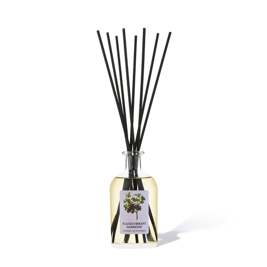 Blackcurrant Oakmoss reed diffuser 250ml luxury home fragrance by Maison Scentique