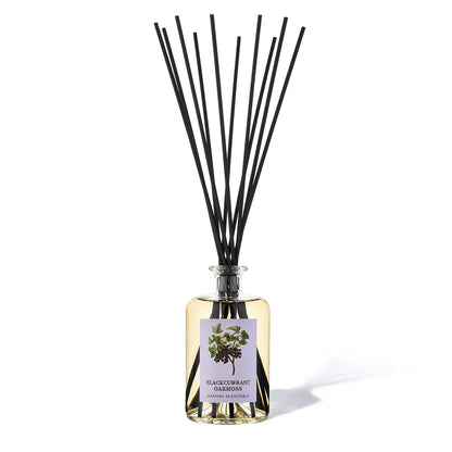 Blackcurrant Oakmoss reed diffuser 500ml luxury home fragrance by Maison Scentique